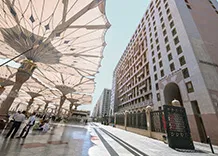 10-night-3-stars-november-umrah-package